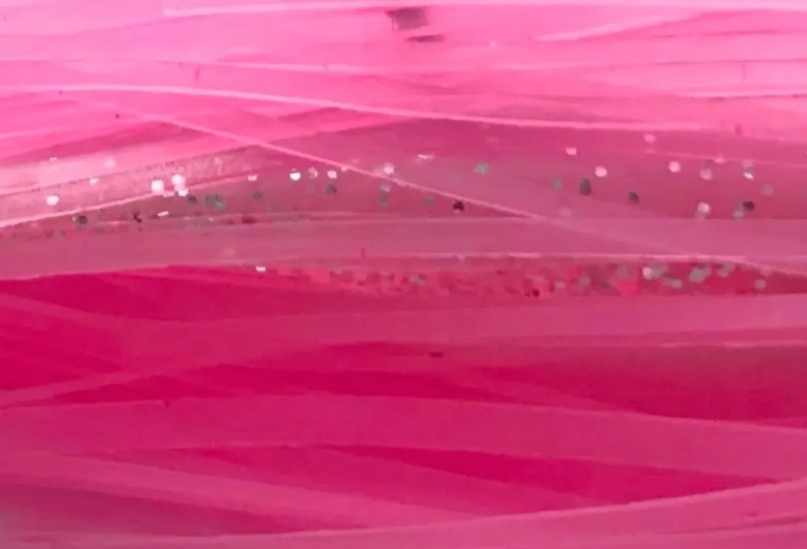 5” Skirted Whip-it Fish : Rigged