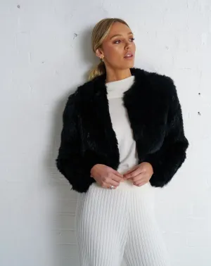 ARNIA Jacket | BLACK