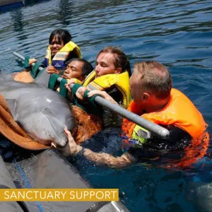 Bali Sanctuary - Life Jackets