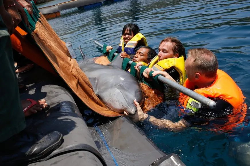 Bali Sanctuary - Life Jackets