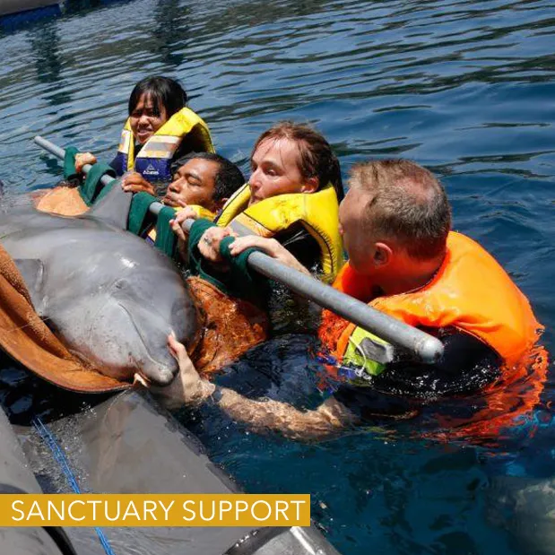 Bali Sanctuary - Life Jackets