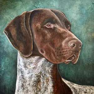 CJ - German Shorthaired Pointer