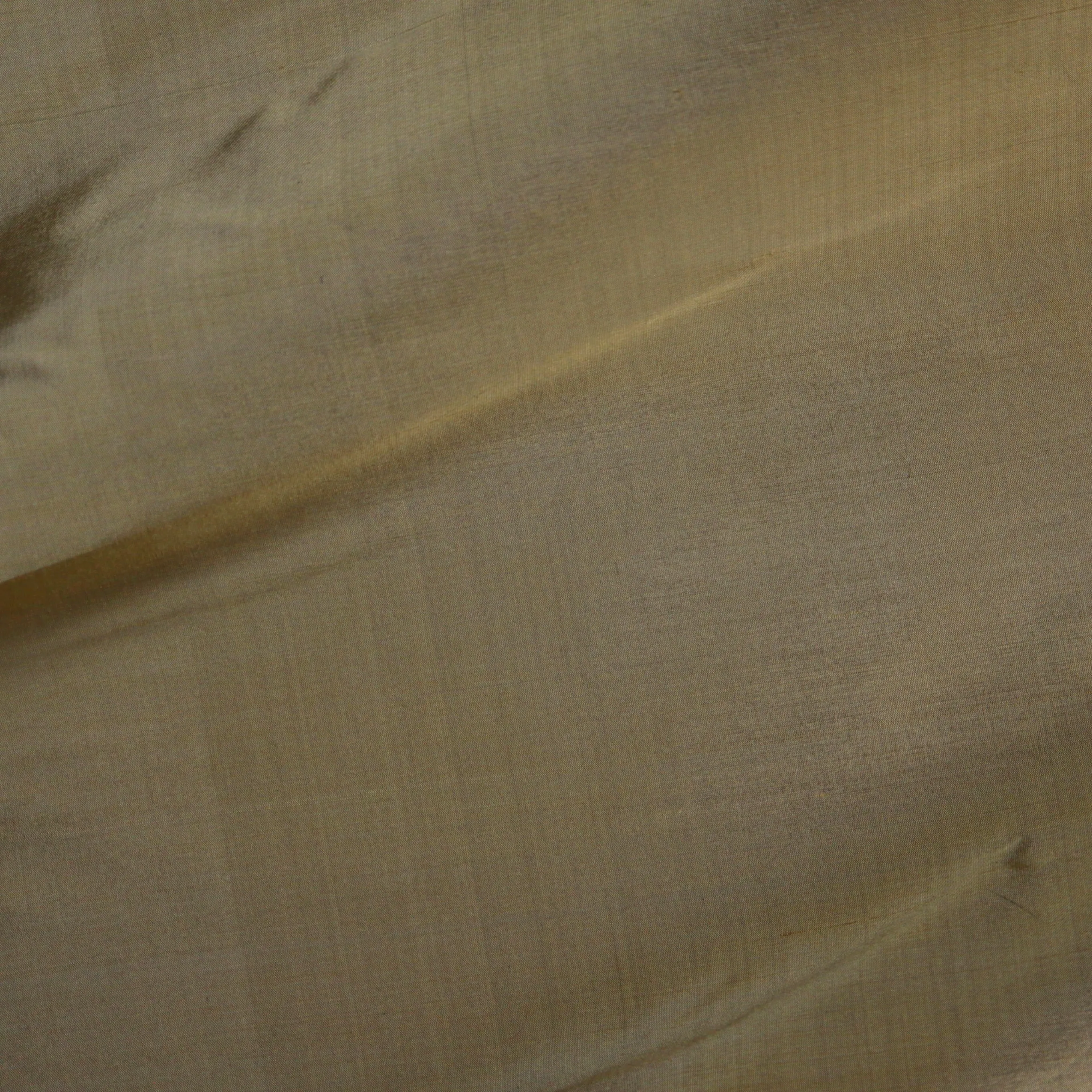 Dupioni Silk - 21800