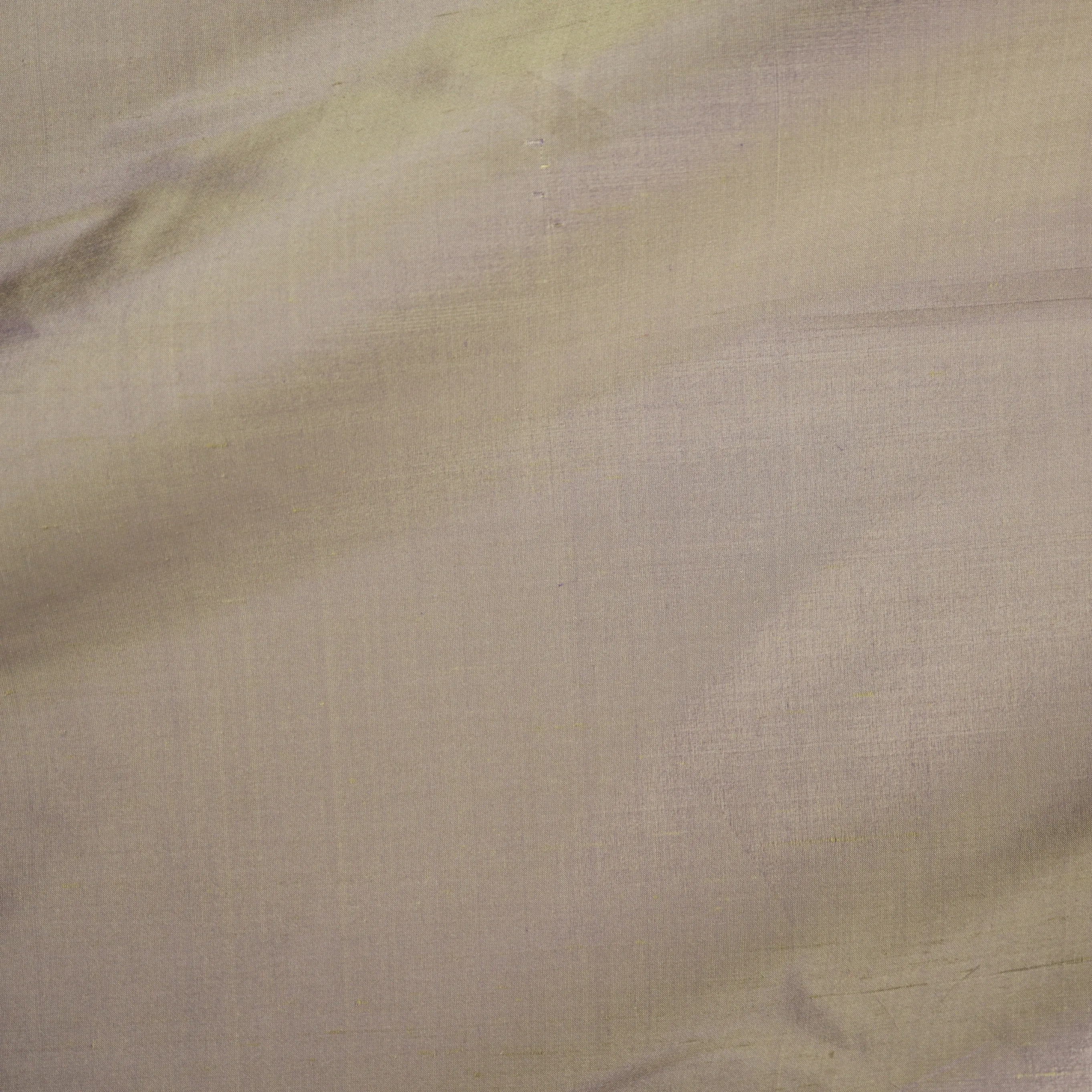 Dupioni Silk - 21800