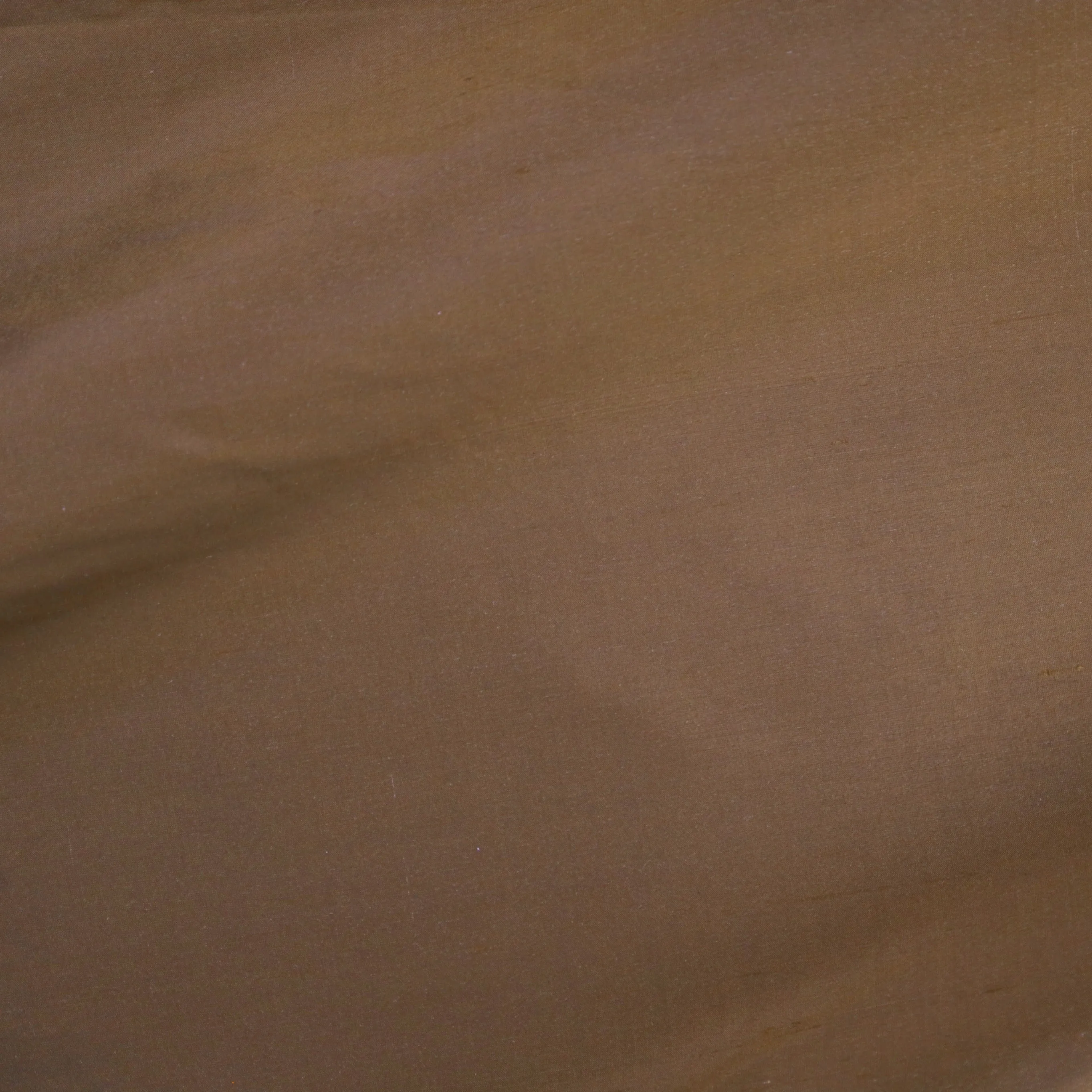 Dupioni Silk - 21800