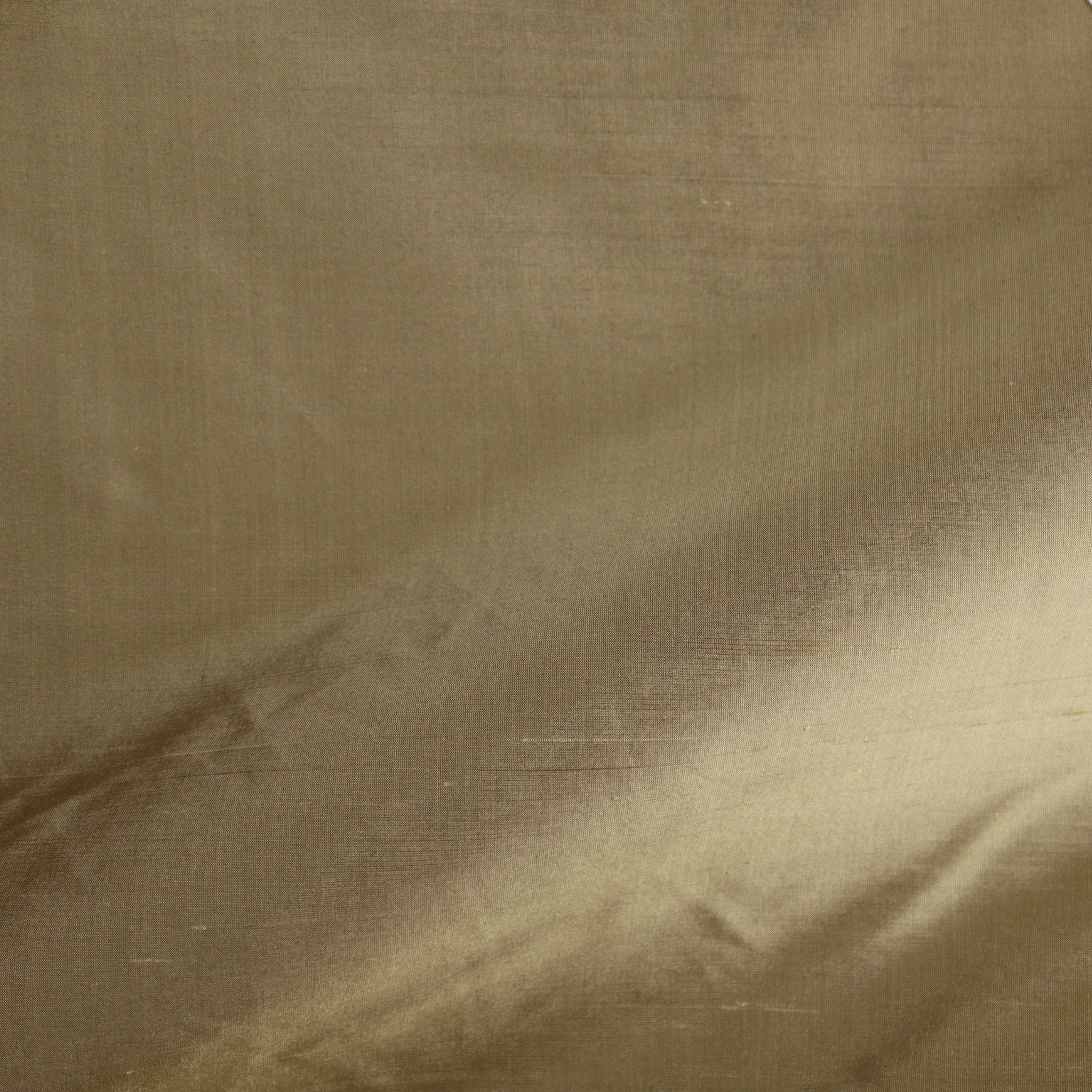 Dupioni Silk - 21800