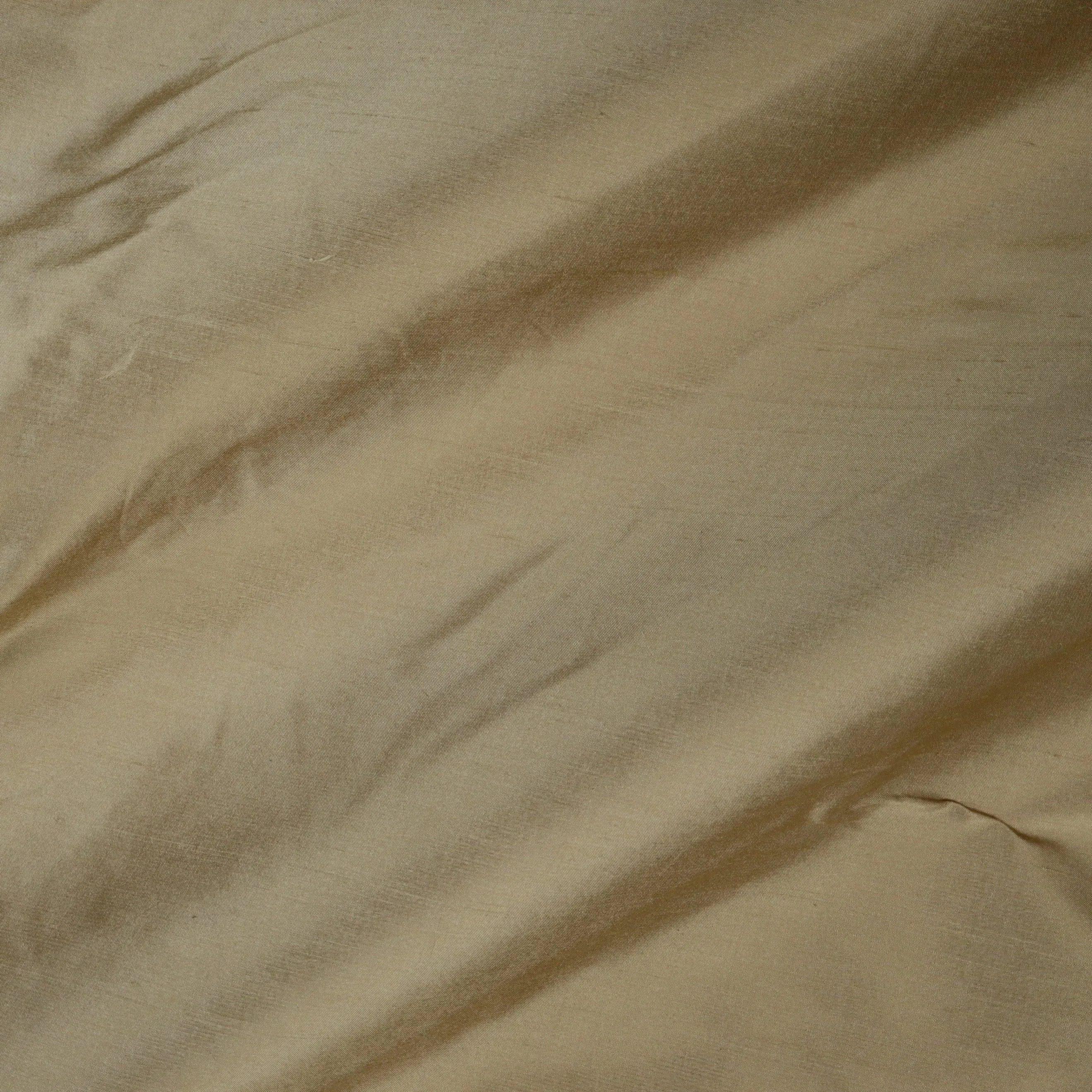Dupioni Silk - 21800