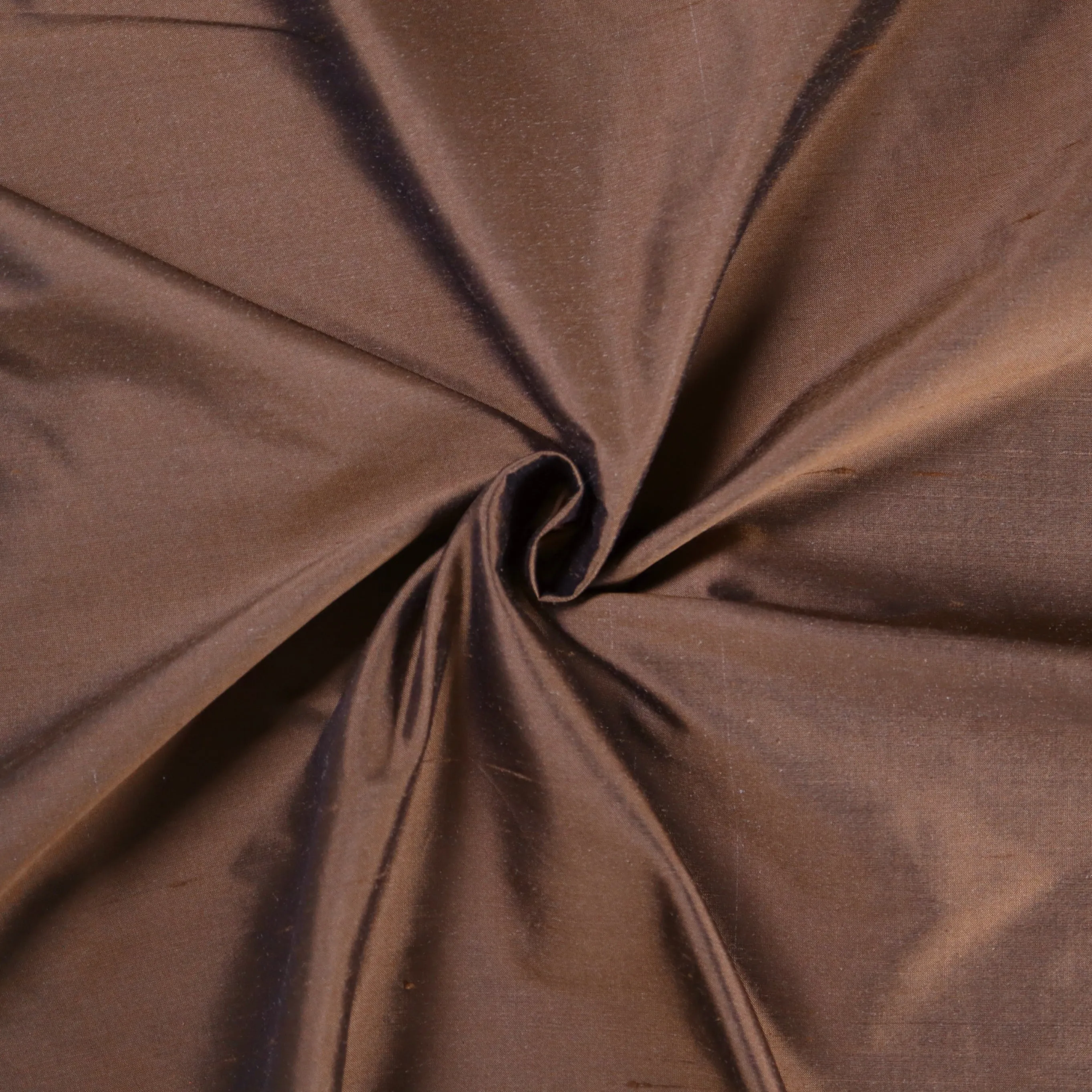 Dupioni Silk - 21800
