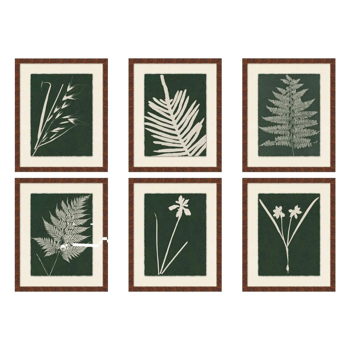 Modern Leaf Gallery