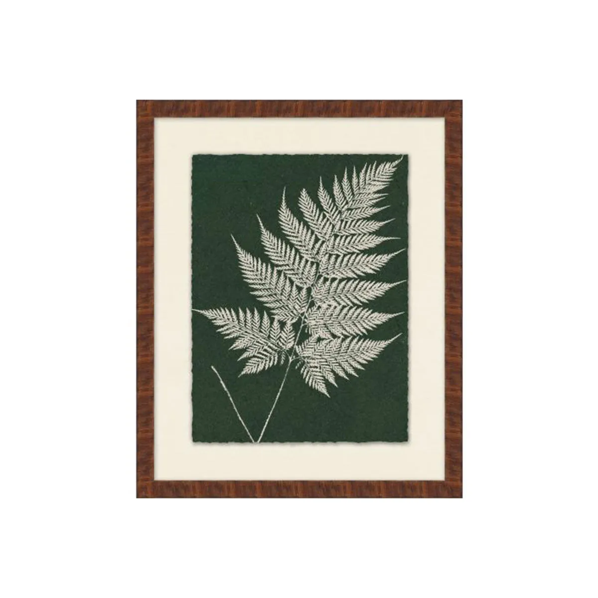 Modern Leaf Gallery