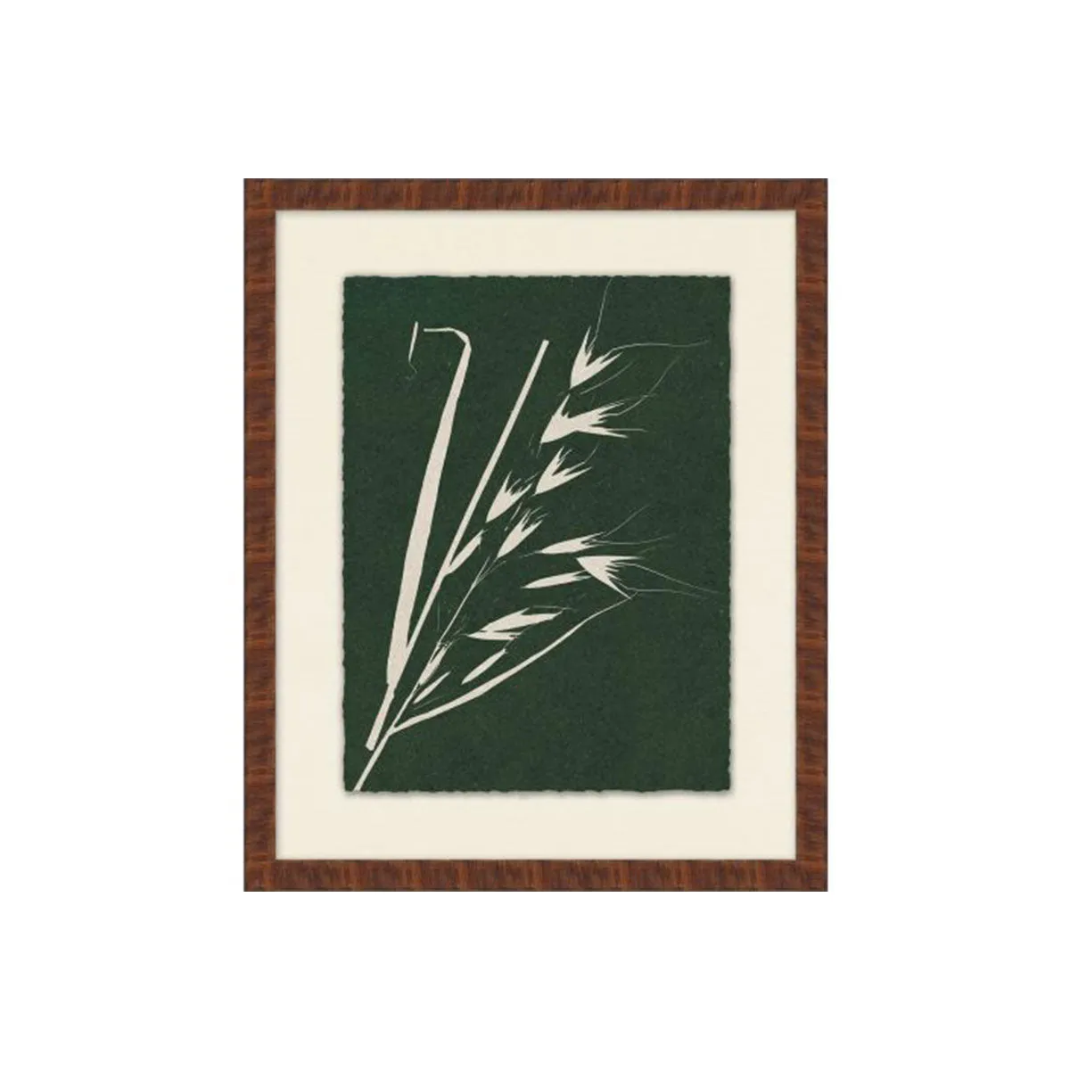 Modern Leaf Gallery