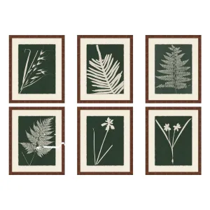 Modern Leaf Gallery