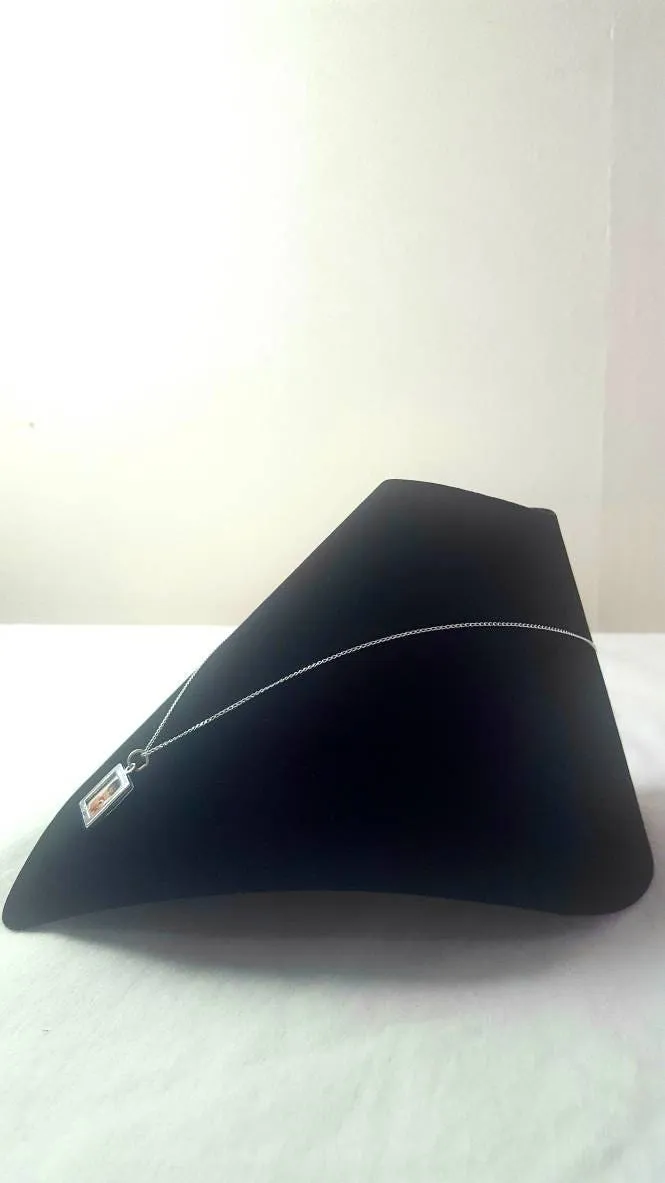 Modern Neck Display