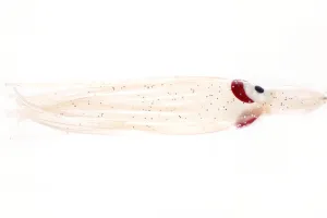 NORTH PACIFIC OCTOPUS 4-1/4" M92