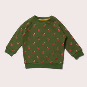 Red Apples Long Sleeve Raglan Sweatshirt