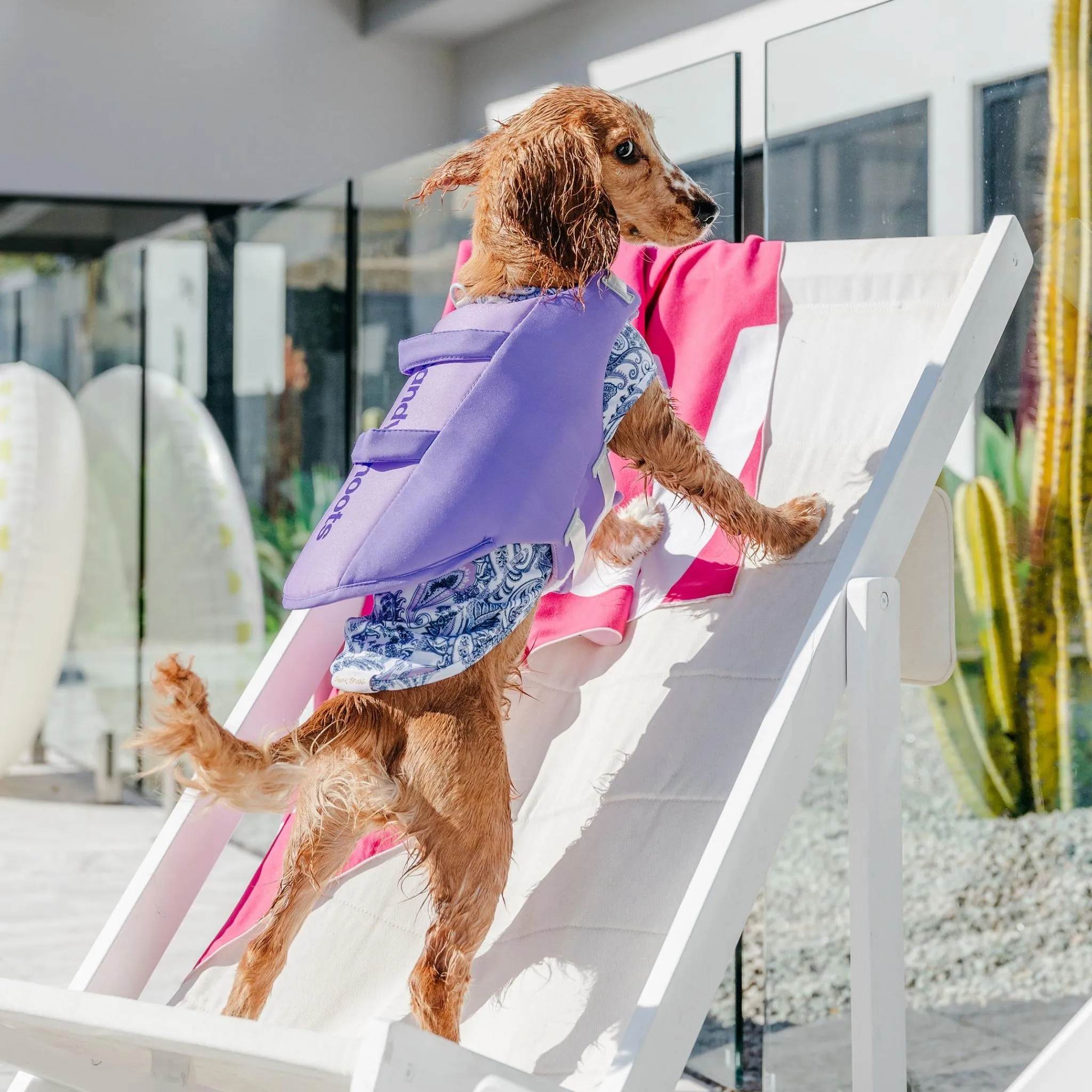 Seashell Purple Dog Life Jacket